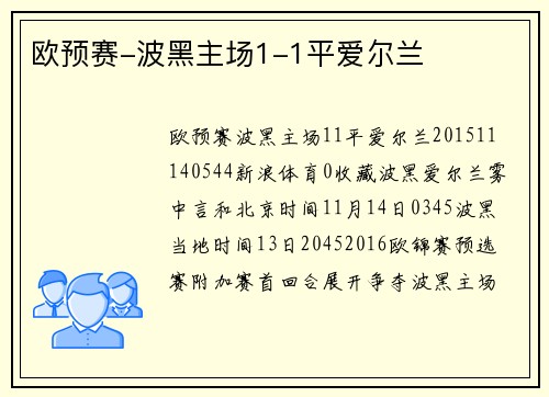欧预赛-波黑主场1-1平爱尔兰